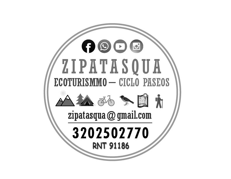 Logo-Zipatasqua